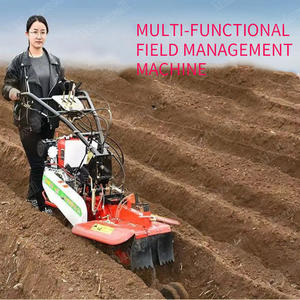 Vente chaude : Machine de labour agricole à essence pour agriculteurs / Mini-motoculteur à moteur diesel pour labour et culture - Product Image 3