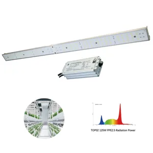 Jk Verlichting Fabriek Levering Oem Aangepaste Groeiende Lamp Gloednieuwe Hoge Kwaliteit Groothandel Led Grow 120 125W Full Spectrum