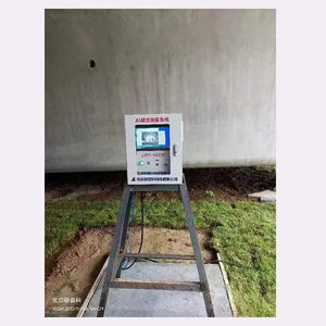 Monitoreo automatizado en línea de desplazamiento y deformación (asentamiento y desplazamiento horizontal) de puentes (muelles) - Product Image 1