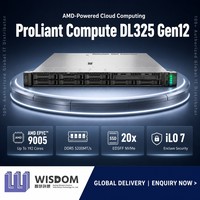 Serveur Rack 1U HPE ProLiant DL325 Gen12 AMD EPYC 9005 6 To 5200 MT DDR5 EDSFF NVMe Gen5 pour l'Edge Computing - Vente en Gros Usine