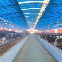 Sistema de Cría Automatizado Ligero con Estructura de Acero Soldada para Vacas, Cerdos, Pollos, Caballos, Cabras, Establos, Granjas y Naves Avícolas