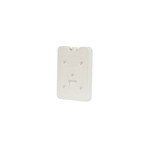 El último panel de ladrillo de hielo impermeable del producto nuevo para el uso de enfriamiento disponible en el precio al por mayor del exportador indio - Product Image 6
