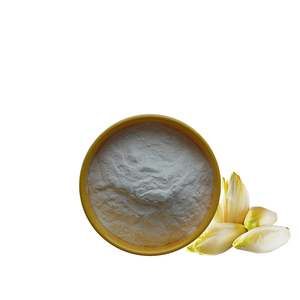 Fornecimento Direto De Chicória Pó Fabricantes Food Grade Fructooligosaccharide Solúvel Em Água 1kg Ordem Mínima - Product Image 3