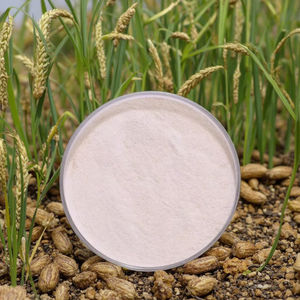 תוספי מזון broiler מעוצבים במיוחד עם אנזימים מורכבים תוספי תזונה אבקת עוף - Product Image 3