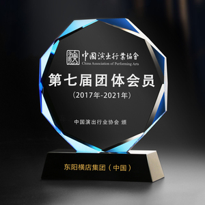 Trofeo di cristallo K9 di alta qualità Logo inciso personalizzato dipendente menzione d'onore premi trofei premi medaglie e placche - Product Image 3