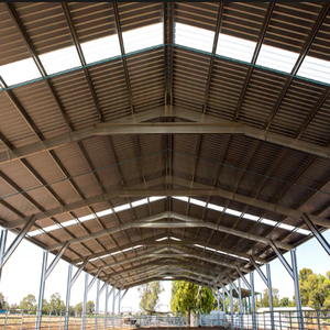 Maison préfabriquée à structure en acier robuste pour la vie en milieu rural et l'occupation quotidienne par la famille - Product Image 3
