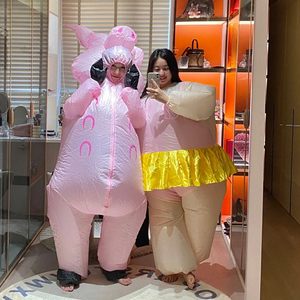 Oxford-vải linh vật Linh Vật Trang phục tùy chỉnh người lớn ELF Linh Vật Trang phục - Product Image 3