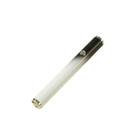 Vente en gros de briquets USB personnalisés, couleurs dégradées romantiques, mini briquets électroniques avec livraison rapide