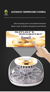 Incubadora de Huevos WON EGG 2026 de Buena Calidad, Incubadora Totalmente Automática con Capacidad para 12 Huevos en Venta - Product Image 4
