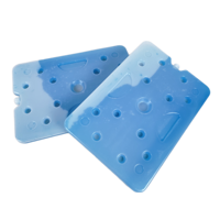 Pack de gel glacé imperméable de refroidissement de brique de glace de congélateur avec logo pour sac isotherme