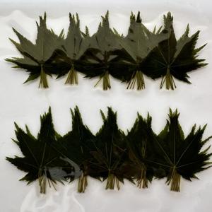 100ใบเมเปิ้ลใบโมมิจิเค็มชิ้น/แพ็คสำหรับตกแต่งอาหารซูชิ - Product Image 2