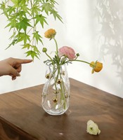Vase en verre irrégulier minimaliste nordique avec accents de perles dorées, vase transparent moderne pour fleurs, décoration esthétique pour la maison