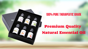 Top Grade Aromatherapy Essential <strong>Oil</strong> Set 4/6/8/10 Pack 10ml Bottles Peppermint Eucalyptus <strong>Clove</strong> Lemon Grass Orange <strong>Oil</strong>