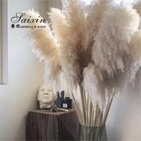 Saixin SX-F007 Vente chaude Décoration de table blanche beige pour mariage Fleurs décoratives pour événements Plantes