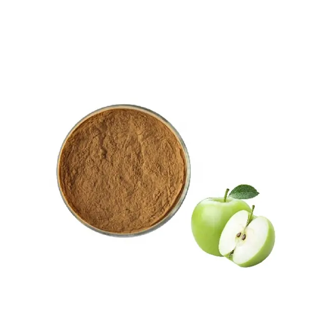 Заводская поставка яблочный экстракт порошок яблочные полифенолы 70% 80%