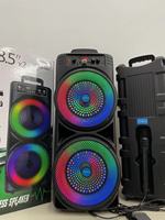 Haut-parleur portable rechargeable de 8 pouces, machine de karaoké portable avec lumière DJ pour fête en plein air