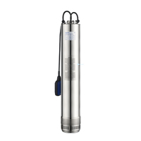 Pompe submersible haute pression robuste en acier inoxydable pour puits profonds, idéale pour l'irrigation agricole et de jardin