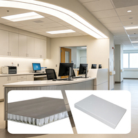 Panel Furnitur Aluminium Honeycomb Sandwich OEM Permukaan Halus Tahan Gores dan Aus untuk Kabinet Terintegrasi di Lobi Kantor