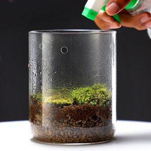 Collezione Dew Tazza <span class=keywords><strong>in</strong></span> <span class=keywords><strong>Vetro</strong></span> Terrario Piccolo Vaso Terrario Geometrico <span class=keywords><strong>in</strong></span> <span class=keywords><strong>Vetro</strong></span> <span class=keywords><strong>con</strong></span> <span class=keywords><strong>Coperchio</strong></span> - Product Image 5