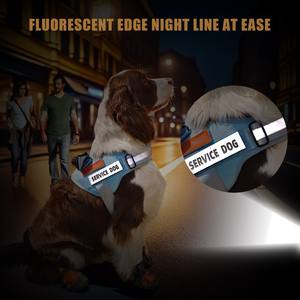 OEM/ODM Aksesori hewan peliharaan nilon modis dapat disesuaikan Set tali kekang anjing besar rompi anjing tali penuntun berjalan - Product Image 2