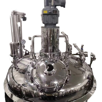Biorreactor de Acero Inoxidable con Agitador, Mirilla y Abrazadera Tri-Clamp para Procesamiento Químico y de Fermentación Biotecnológica