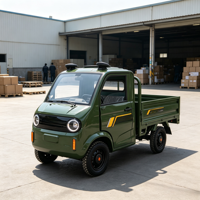 Camion de livraison électrique à basse vitesse à 4 roues avec caisse de chargement renforcée pour le marché agricole, le transport urbain, mini camionnette