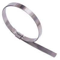 Colliers de serrage Punch-Lok en acier inoxydable pour tuyaux
