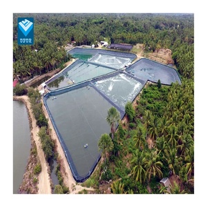 Thực Phẩm Cấp <span class=keywords><strong>HDPE</strong></span> Màng Đất Cho Cá Trang Trại Vịt Ao Tôm Sen Ao Đen Trắng Màu Xanh Màu Xanh Lá Cây Màng Đất Lót - Product Image 3
