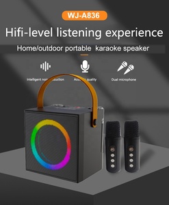 Altavoz Bluetooth Portátil Profesional Recargable V5.3 con Asa, Karaoke, OEM/ODM de Fábrica al por Mayor 2026 - Product Image 3