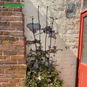 2 packs de treillis muraux en métal <span class=keywords><strong>pour</strong></span> plantes grimpantes d'extérieur <span class=keywords><strong>Support</strong></span> de treillis de jardin en métal - Product Image 4