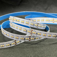CCT SMD2216 Bande LED flexible bicolore DC12/24V Bande lumineuse LED flexible pour l'éclairage de décoration