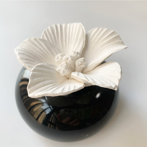 Chất lượng cao trắng gốm khuếch tán đá Hương thơm hoa khuếch tán hương liệu khuếch tán - Product Image 3