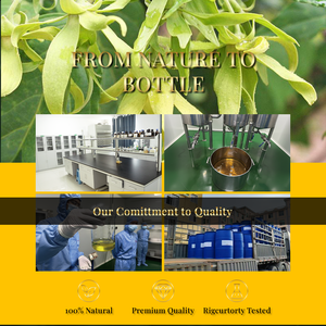 Manufacturer Bulk Supply 100% Pure Ylang Ylang <b>Essential</b> <b>Oil</b> Best Price Aroma Source for Skin Care <b>Diffuser</b> Mosquito Repellant - Product Image 5