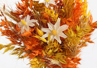 Herfst Haverkleur Gemengd Boeket Natuurlijke Gedroogde Bloemen Echt Bloemstuk Voor Huisdecoratie Groothandel Geconserveerde Planten Bloemen