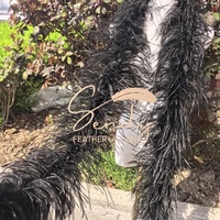 Écharpe en Plumes d'Autruche de Haute Qualité à 3 Couches de 2m pour Costume de Danse Burlesque, Accessoire de Vêtement Personnalisé pour Femme, Vente en Gros