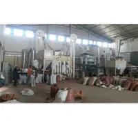 Usine de nettoyage et de tri des grains de café vert Usine de nettoyage complète du traitement des grains de café fabriquée en Chine