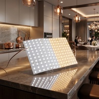 Luz LED para Cocina, 484 LEDs, DC24V, 2 LEDs, Iluminación Regulable para Grandes Áreas Retroiluminadas