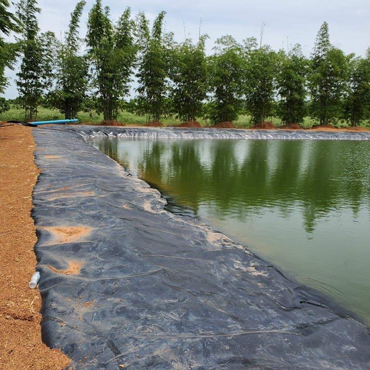 Hot sale of geomembrane black white geomembrane pond liner geomembrane hdpe