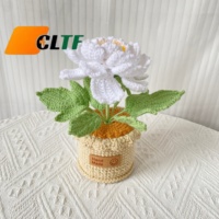 Pot de fleurs en laine crochetée à la main, pivoine, tricot artisanal haut de gamme, décoration d'intérieur, cadeau pour la fête des mères, la fête des enseignants, la Saint-Valentin, Noël