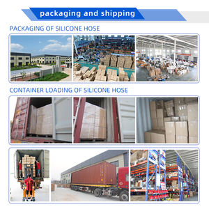 OEM 16546-V0100日产高级汽车空气过滤器 - Product Image 5