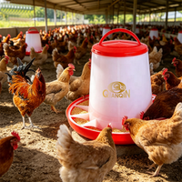Promotion en Afrique : Distributeur automatique d'aliments pour volailles en PE épais pour petites et moyennes fermes avicoles, faible gaspillage d'aliments