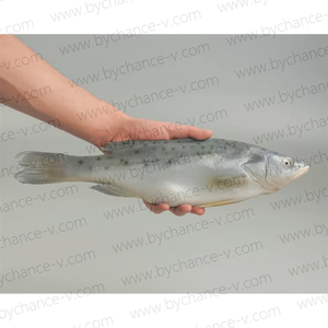Decoración de Pescado Artificial Realista: Lubina Chilena Falsa para Acento de Cocina, Bar en Casa, Mesa de Buffet, Exhibición de Mariscos - Product Image 2