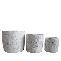 Ensemble de jardinières modernes classiques en ciment écologique de 10 L pour l'extérieur, élégantes jardinières à fleurs avec revêtement en poudre