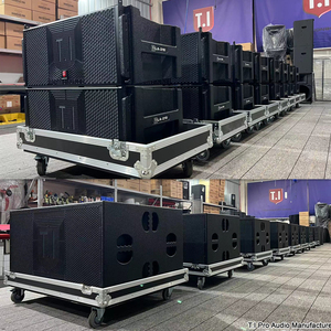 Altoparlante Line Array a 2 Vie T.I International Audio con Doppio Woofer al Neodimio da 10 Pollici, Sistema Audio Professionale per Radio 800W - Product Image 2