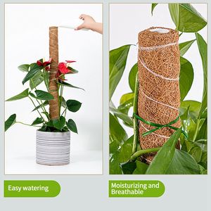 Plante Mousse Coir Pôle Pliable <span class=keywords><strong>Plantes</strong></span> Escalade <span class=keywords><strong>Support</strong></span> Extension Palmier Vignes Bâton Intérieur Balcon Jardin Cour Fleur Décor - Product Image 1