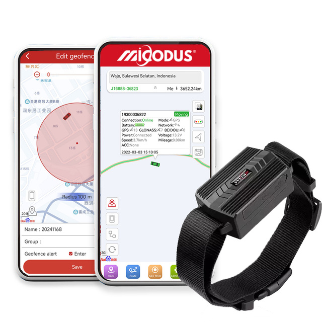 Real Time Location 3000mah Long Battery Life Geofence Micodus Ml935 Cattle Smart Animal Gps Tracker with App Control