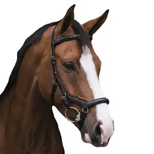 MICKLEM Bridle with Fancy white stitching on the nose and brow band for a classic look