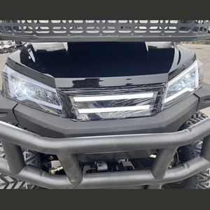 Meilleurs prix sur les nouveaux buggys de golf noirs à 2 places, véhicules électriques avec batterie au lithium/plomb-acide 48V, 30-50 km/h, dernière technologie - Product Image 6