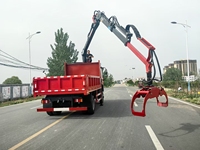 Gru forestale per il carico di tronchi su camion