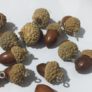 Fornitura all'Ingrosso di Xiang Zi: Noci di Quercia Essiccate Naturali, Frutta Secca Commestibile - Product Image 2